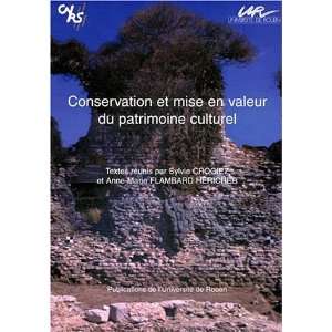  Conservation et mise en valeur du patrimoine culturel 