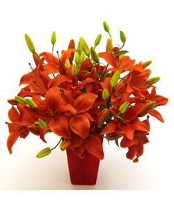 Rich Red Lily Flowers  