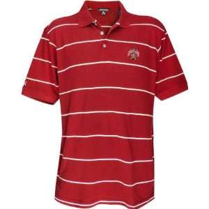  Maryland Terrapins Classic Pique Striped Polo Sports 