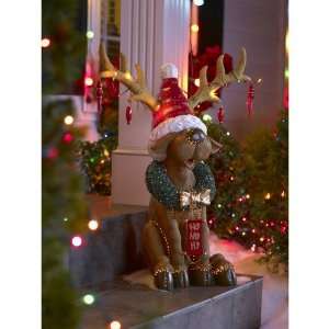 Holiday Living Christmas 26 In. Fiber Optic Reindeer