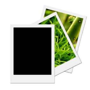  Blank Polaroid 5   Peel and Stick Wall Decal by 