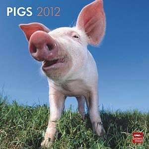  2012 Pigs Calendar