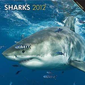  2012 Sharks Calendar