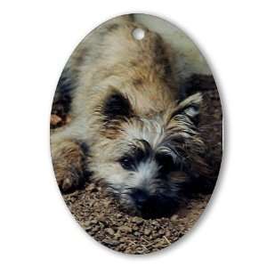  Cairn Terrier Dig It Pets Oval Ornament by 