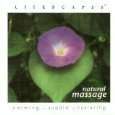   Massage * by Paul Frantzich (CD, Jan 2000, Lifescapes Music)D630