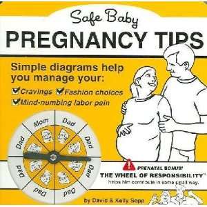    Safe Baby Pregnancy Tips   2006 publication