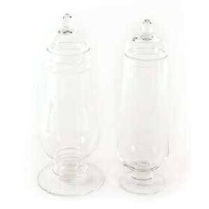 Set of 2 Farm Fresh Tall Clear Glass Lidded Jar Containers  