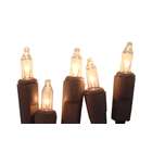 Sienna Set of 50 Super Bright Clear Mini Christmas Lights   Brown Wire