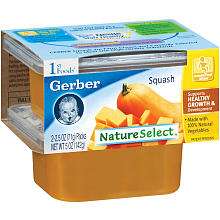 Gerber 2 Pack 1st Foods Baby Food 2.5 oz.   Squash   Gerber Foods 