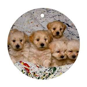  Cute puppy litter Ornament round porcelain Christmas Great 