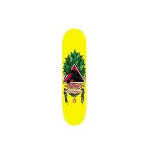  Element Natas Small Panther Deck (Colors May Vary) Sports 