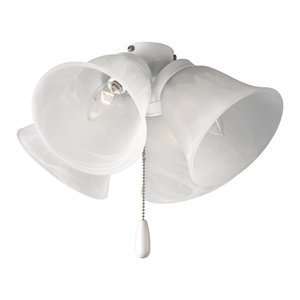   Lighting P2643 Air Pro 4 Light Universal Fan Kit Flush Mount   3463341