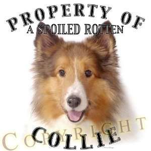  Collie SABLE dog breed THROW PILLOW 16 x 16