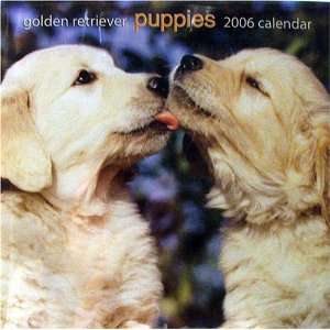    Golden Retriever Puppies 2006 Wall Calendar