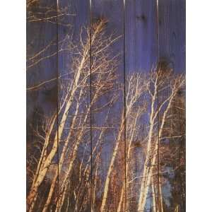  Winter Aspens 28in x 36in Toys & Games