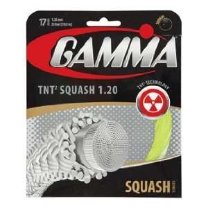 Gamma TNT2 Squash   Squash String Set 