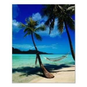  Hammock Hanging Seaside Posters