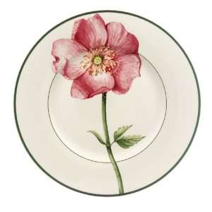   & Boch Flora Wild Rose Salad Plates, Set of 6