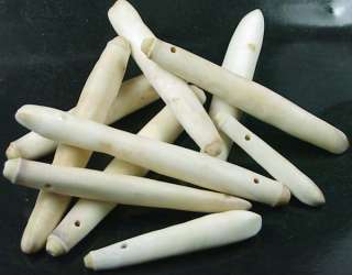Natural White Sea Urchin Coral Spikes Pendant Beads  