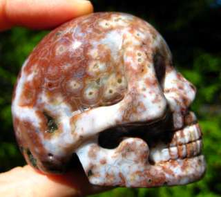 Completely Mined Out Rare Large Ocean Jasper Carved Crystal Skull 