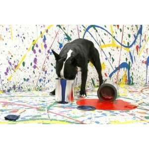  Artistic Pup   Peel and Stick Wall Decal by Wallmonkeys 