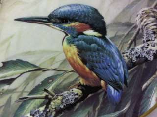 Wedgwood RSPB Centenary Plate Collection Kingfisher  