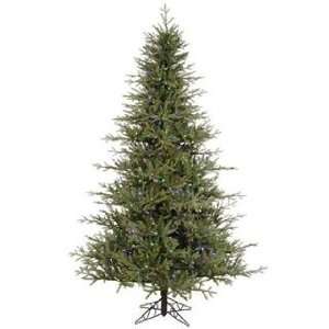  Christmas Tree   Castlerock Frasier Fir   A102487LED