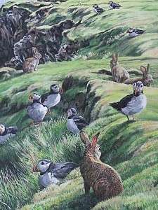 Martin Ridley Puffins And Rabbits Shetland Islands Oil Painting  