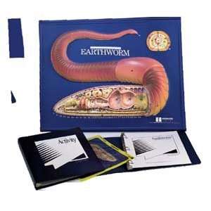   Educational Products 2756 Earthworm Model Activity Set Toys & Games