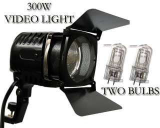 300 Watt Professional Video Light for Camcorder 2 BULBS  
