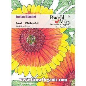  Indian Blanket Seed Pack Patio, Lawn & Garden