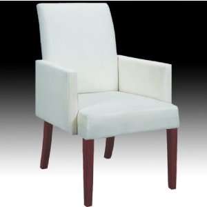    Danbury Imports Arm Chair with Kier Cover