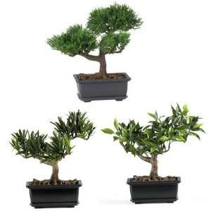  Nearly Natural 85 inch Bonsai Silk Plant Collection (Set 
