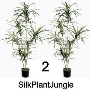   Silk Artificial Potted 6 foot Marginata Tree Plants