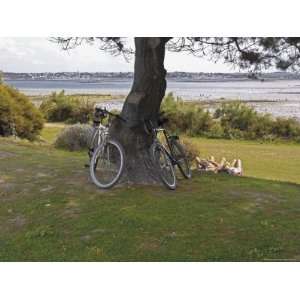  Bicycles by Tree and Couple Relaxing on the Grass, St. Pol 