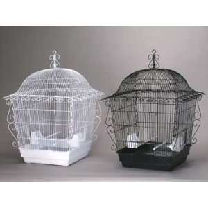   Cage Black 20 X 20 X 24 (Catalog Category Bird / Cages cockatiel