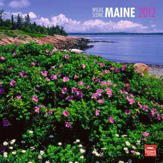 Wild & Scenic Maine 2012 Wall Calendar 9781421681597  