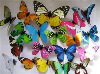 WOW20pc Different Style Artificial Butterfly for Decoration