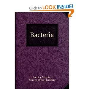  Bacteria. Antoine Sternberg, George Miller, Magnin Books