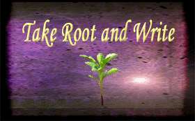 Christian Women Take Root Suggestions   Book Studies
