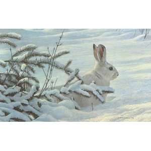  Robert Bateman   Winter   Snowshoe Hare Canvas Giclee 