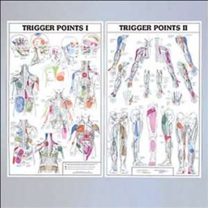  Trigger Points I and II Laminated Chart/Posters Health 
