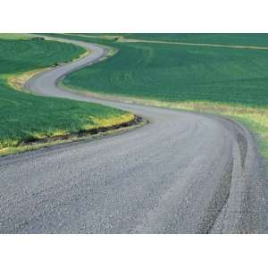 Curved Roadway in Wheat Field, Eastern Washington, USA 