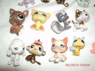 lot 50+ LPS LITTLEST PET SHOP dog~cat~turtle~bird~monkey figurine toys 