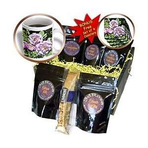   Flowers Flower Photography   Coffee Gift Baskets   Coffee Gift Basket