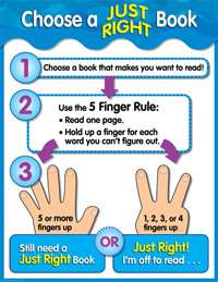 CHOOSE A JUST RIGHT BOOK Reading Comprehension Poster Chart CTP NEW 