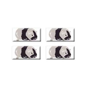 Guinea Pig   3D Domed Set of 4 Stickers