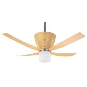   Ceiling Fan, Light, Blades and Handheld Remote C