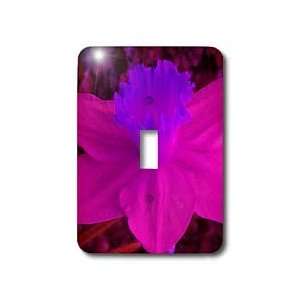   Jonquil Flower   Light Switch Covers   single toggle switch Home