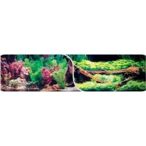  Nature Aquarium 2Side Bkgrd 20 Driftwood